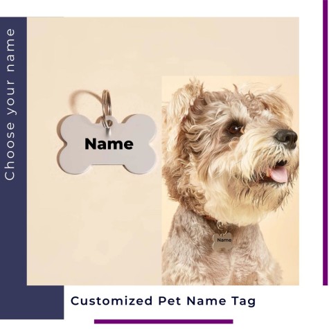 Pet Name Tag